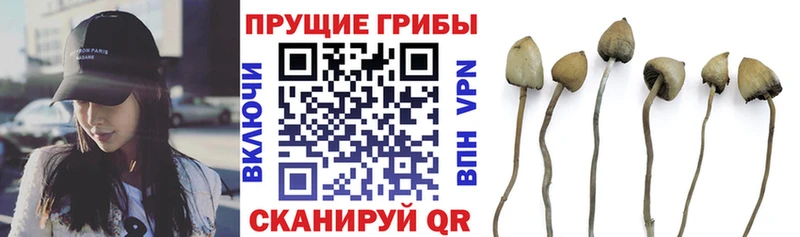 Псилоцибиновые грибы Magic Shrooms  Луза 